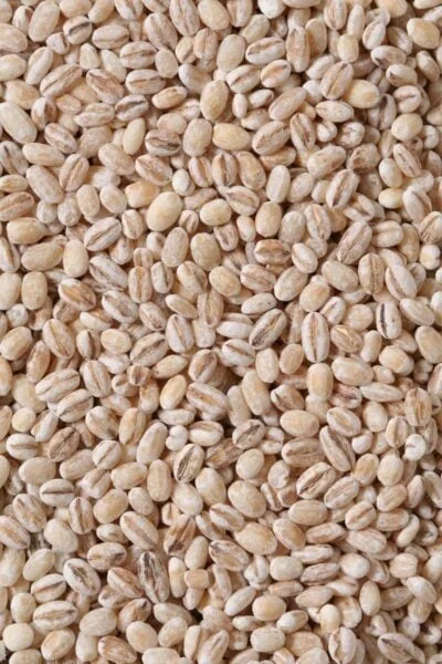 Barley