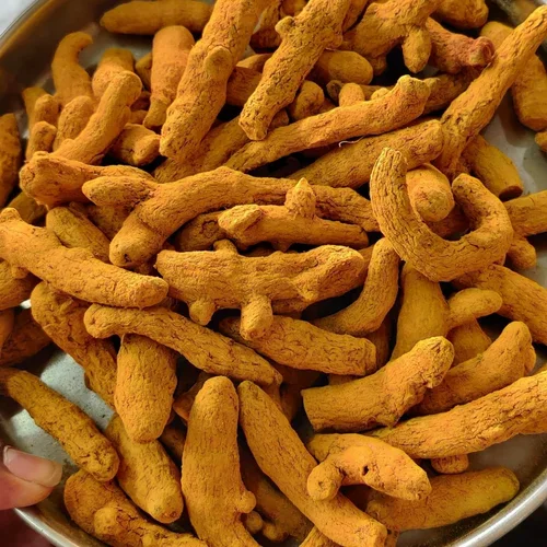 Haldi root