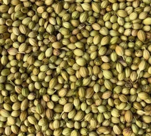 Dhaniya seeds