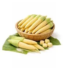 Babycorn