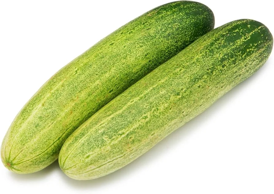 Water Cucumber