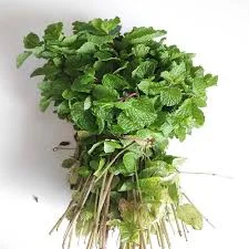 Pudina
