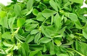 Menthe